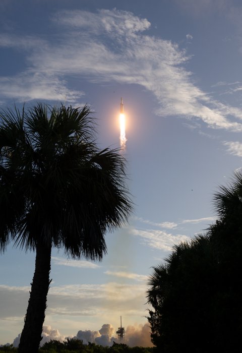 Rocket Launch Framed by Silhouette Palm Trees