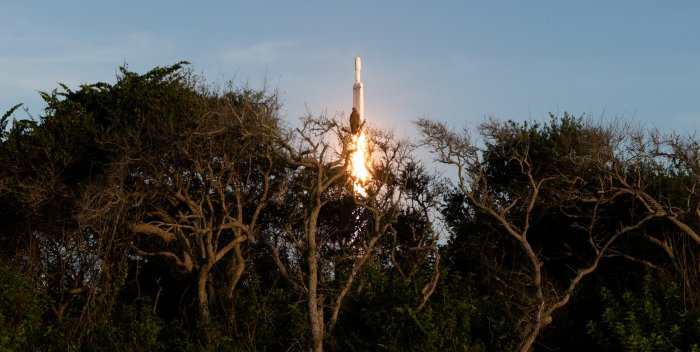 SpaceX Falcon Heavy Rocket Launch Behind Trees with Bird