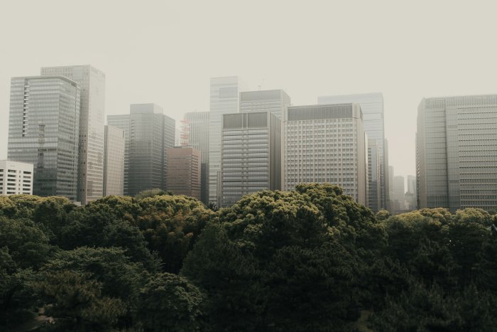 Green Trees and Modern Skyscrapers in Hazy Cityscape