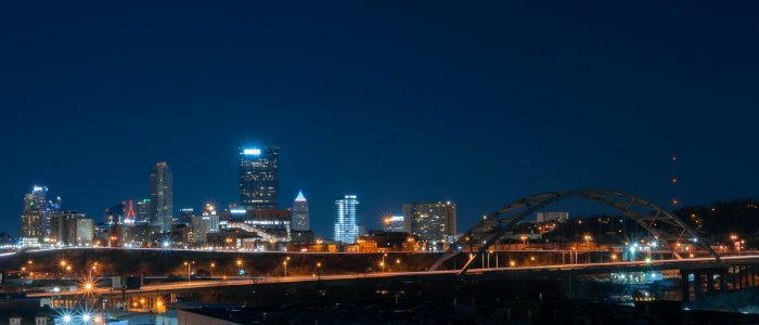Pittsburgh Skyline and Birmingham Bridge at Night