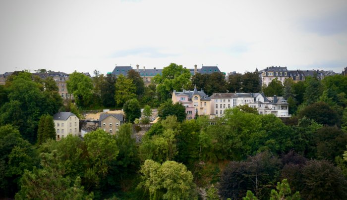 Houses and buildings surrounded by lush green trees