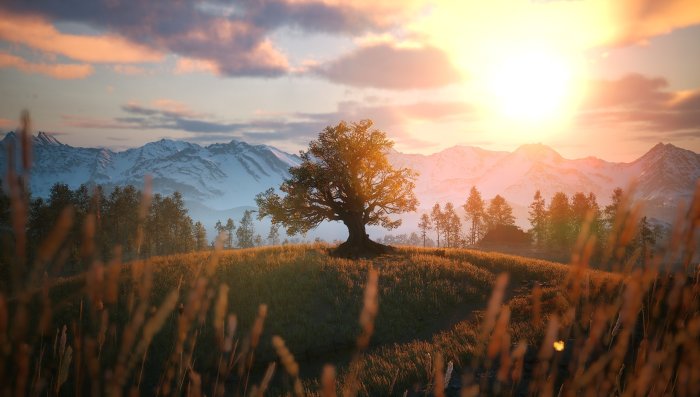 Lone Tree on a Hill in Red Dead Redemption 2