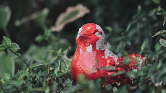 Weathered red bird garden ornament in green foliage