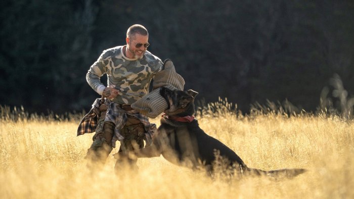 German Shepherd training in Heart of the Beast