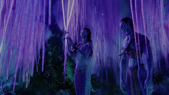 Neytiri and Jake Sully in Avatar movie