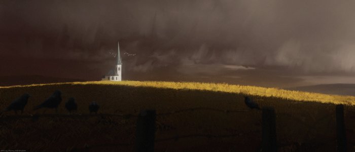 White church in a golden field under stormy skies
