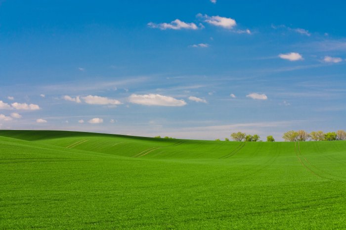 Rolling Green Grass Field Under Blue Sky