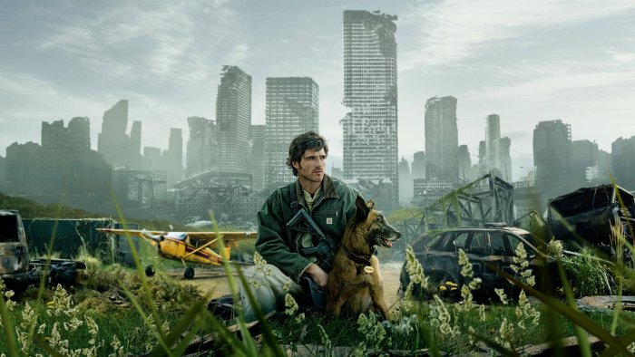Man and dog in a post-apocalyptic city with a plane