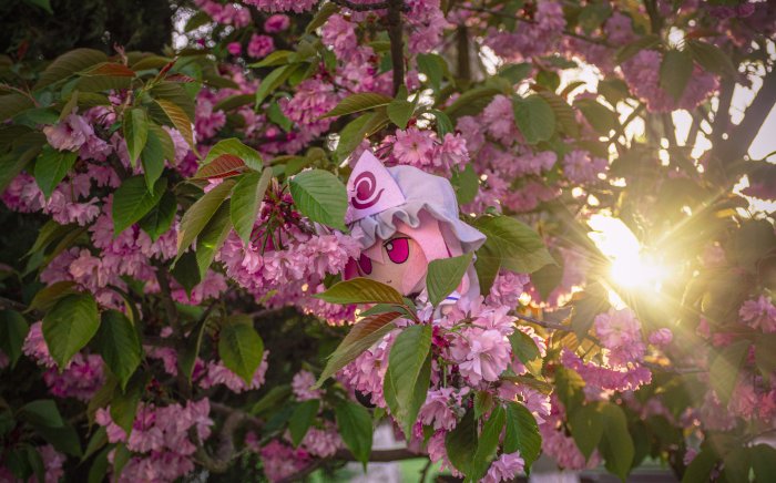 Remilia Scarlet plush among pink cherry blossoms