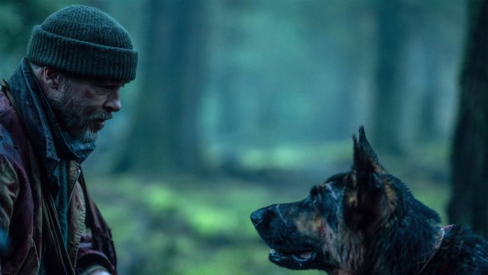 Man and dog in a dark forest