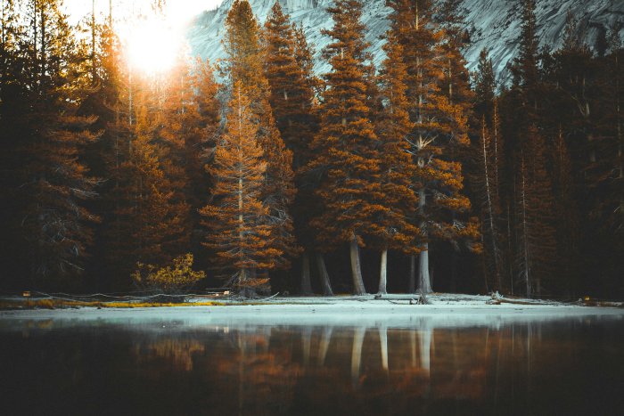 Autumn forest reflected in a calm lake