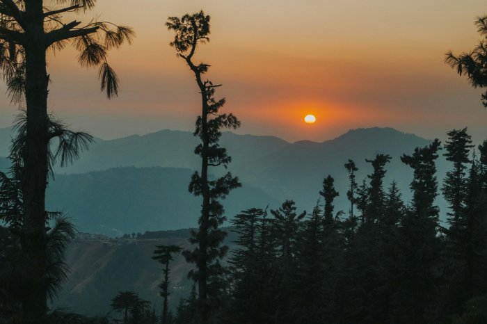 Sunset over misty mountains with pine trees