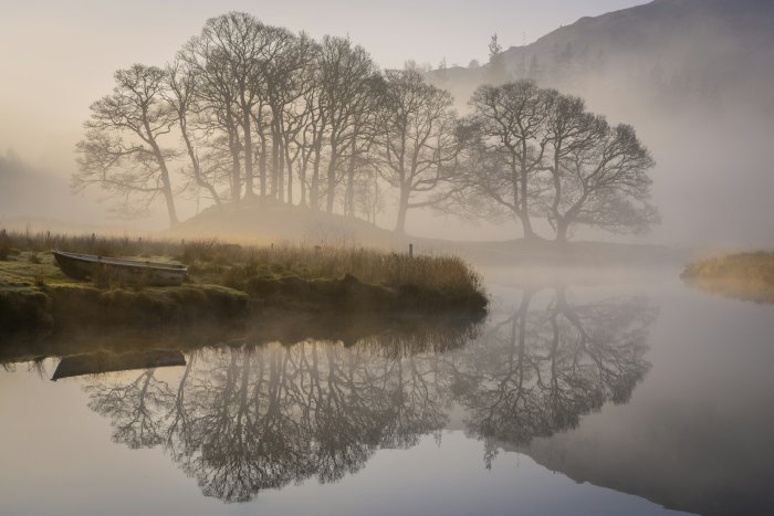 Misty morning landscape with bare trees and river reflections