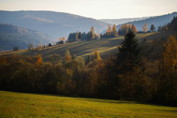 Autumn hillside with trees and distant mountains