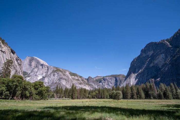 Grassy Field with Mountains and Trees Under Blue Sky