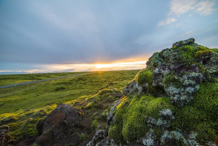Mossy rocks and a road at sunset