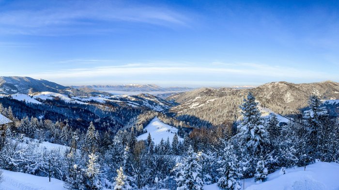 Snow-covered mountains and trees under a blue sky