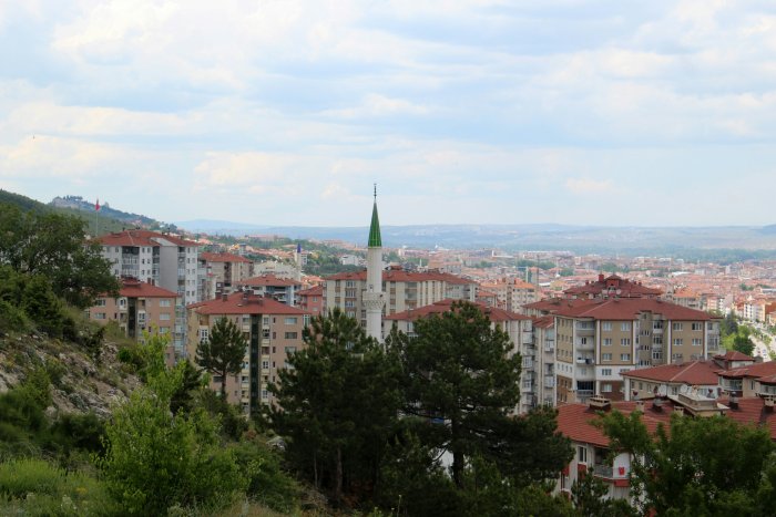 Cityscape with Mosque and Buildings on a Hill