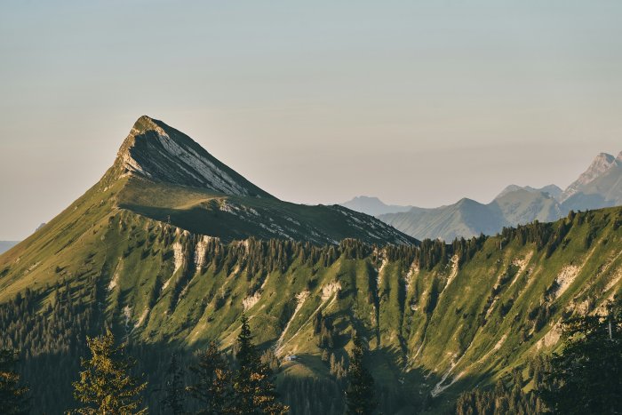 Jagged mountain peak with green slopes and trees
