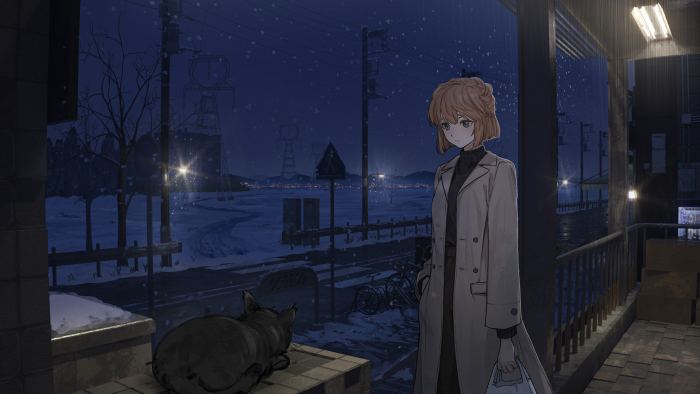 Girl and cat in the snow at night