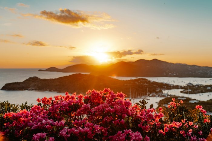 Sunset over islands with pink flowers