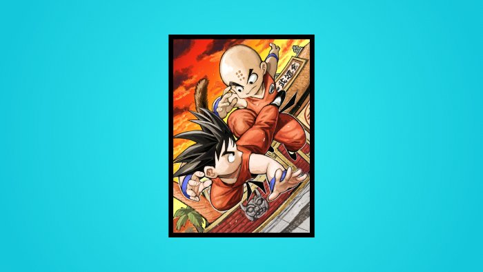 Goku and Krillin from Dragon Ball Z