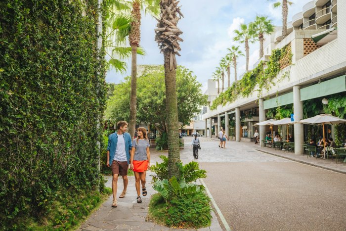 Couple walking through a palm-lined retail precinct