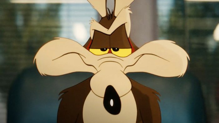Wile E. Coyote from Coyote vs. Acme