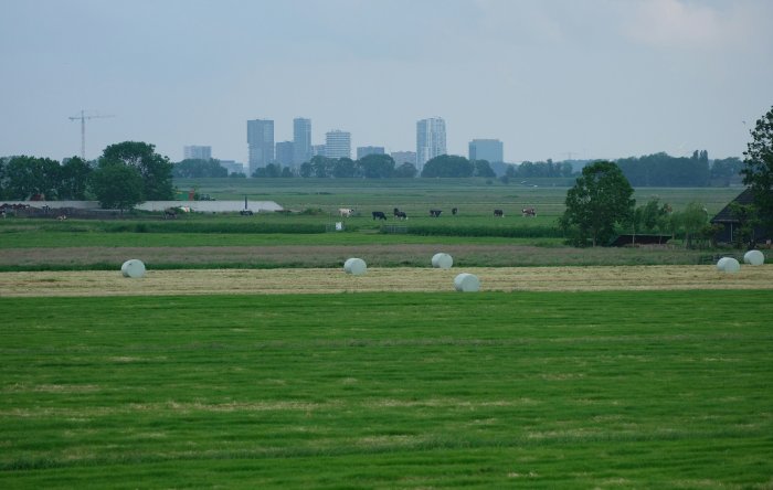Rural landscape with hay bales and distant city skyline