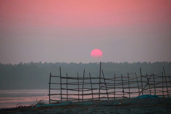 Pink sunset over a misty forest and wooden fence