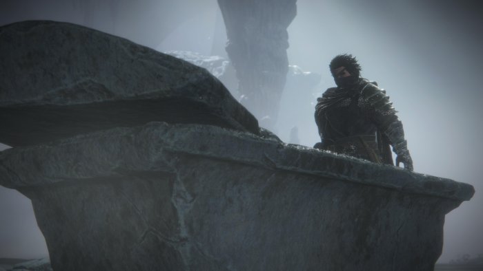 Man in armor on rocky outcrop in misty environment