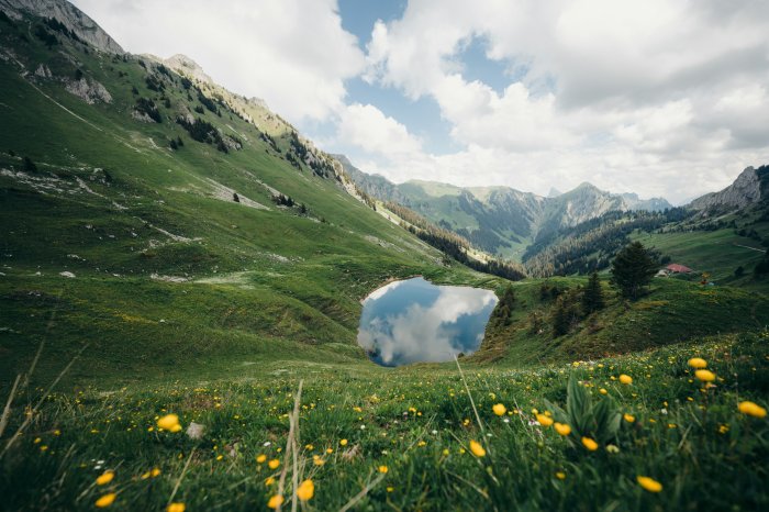 Alpine lake reflecting clouds amidst green hills and flowers