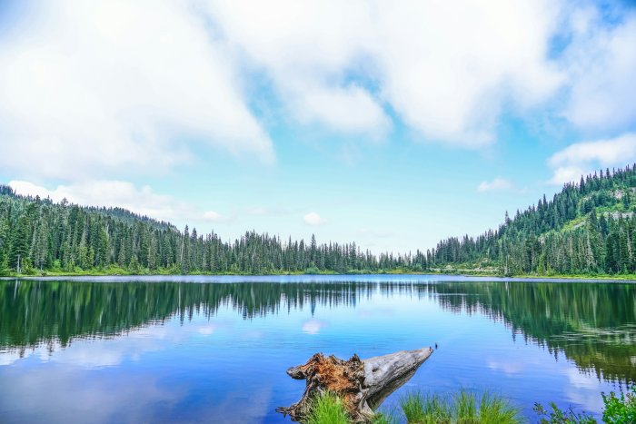 Tranquil Lake Reflecting Forested Mountains and Sky