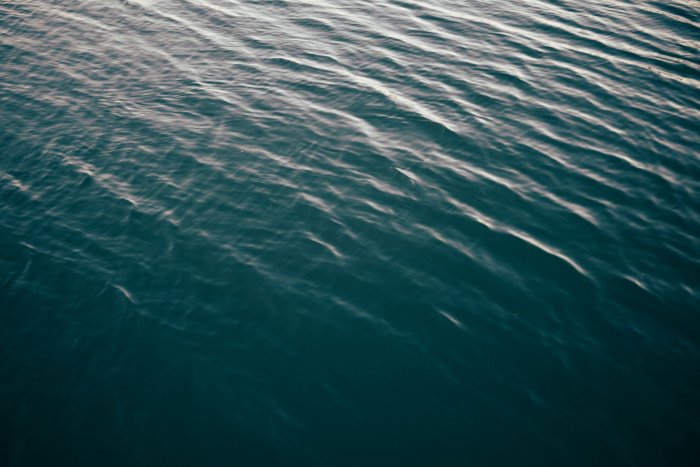 Rippling water surface with light reflections