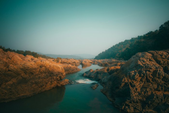 Rocky river flowing through a forested landscape