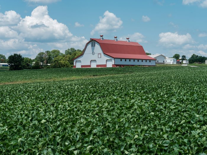 Farm with red barn and green field under blue sky