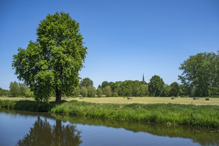 River and trees with church spire in distance