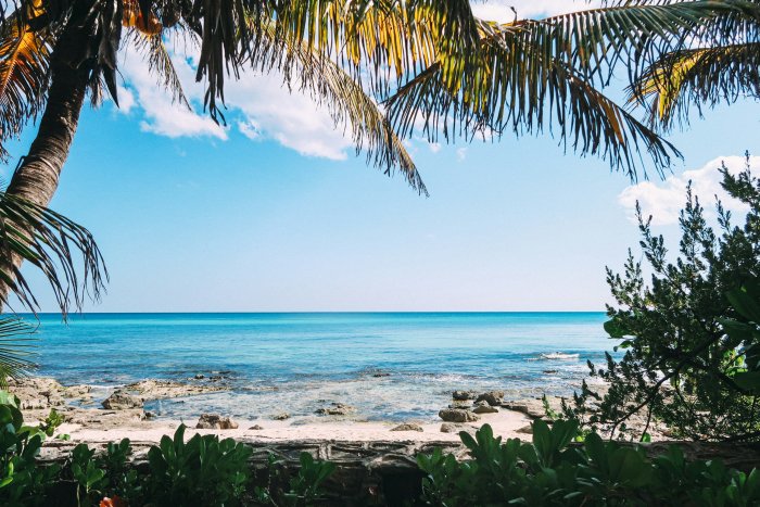 Tropical beach with palm trees and turquoise water