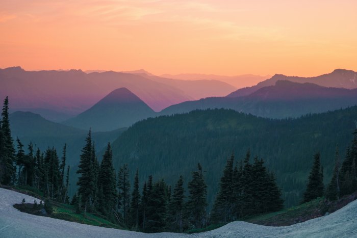 Mountain range at sunset with pine trees