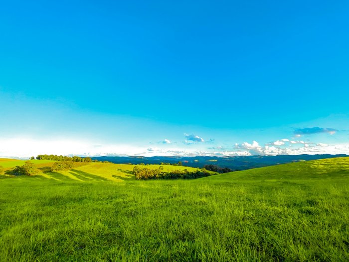 Rolling green hills under a bright blue sky