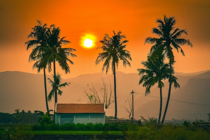 Tropical sunset with palm trees and a small building