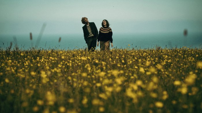 Couple walking through a field of yellow flowers