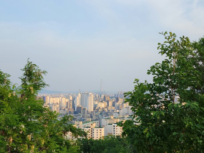 Cityscape with trees in the foreground