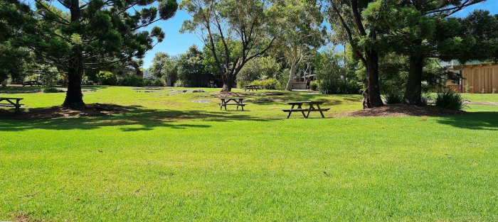 Picnic tables in a grassy park with trees