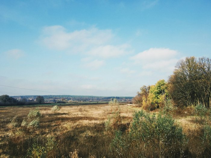 Autumn field with trees and blue sky
