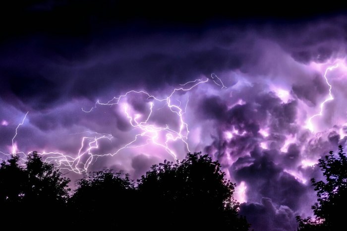 Purple lightning strikes over silhouetted trees