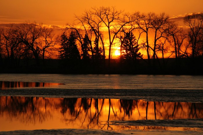 Bare trees silhouetted against a vibrant sunset over water