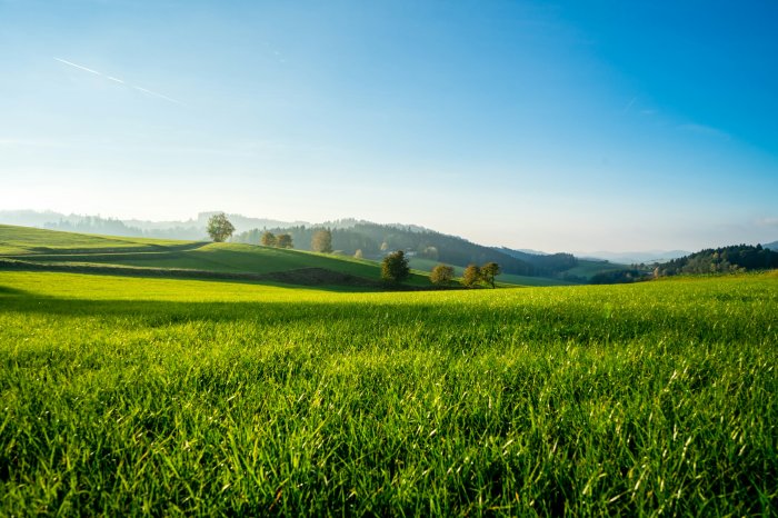 Lush green rolling hills under a clear blue sky