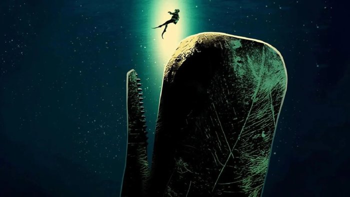 Scuba Diver Falls Near Giant Whale