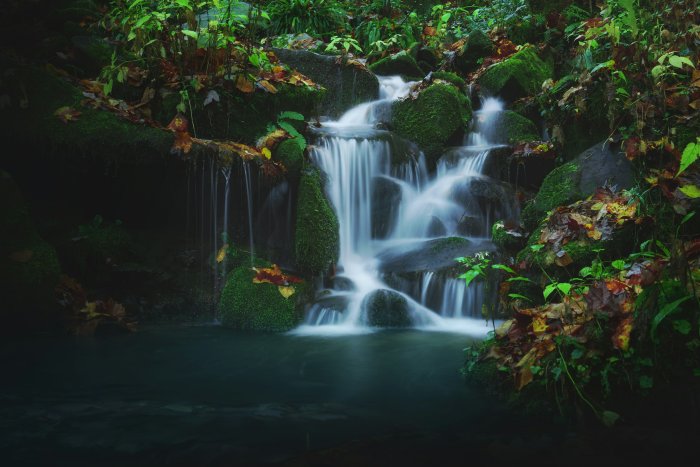Waterfall cascading over mossy rocks in a forest